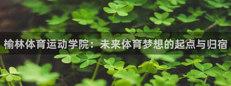 榆林体育运动学院：未来体育梦想的起点与归宿
