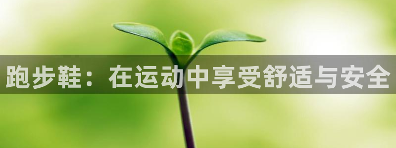 跑步鞋：在运动中享受舒适与安全