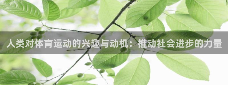 人类对体育运动的兴趣与动机：推动社会进步的力量