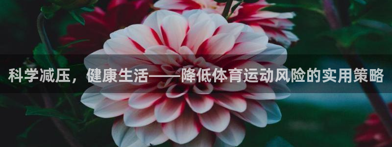 科学减压，健康生活——降低体育运动风险的实用策略