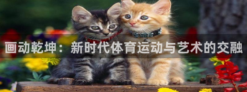 画动乾坤：新时代体育运动与艺术的交融
