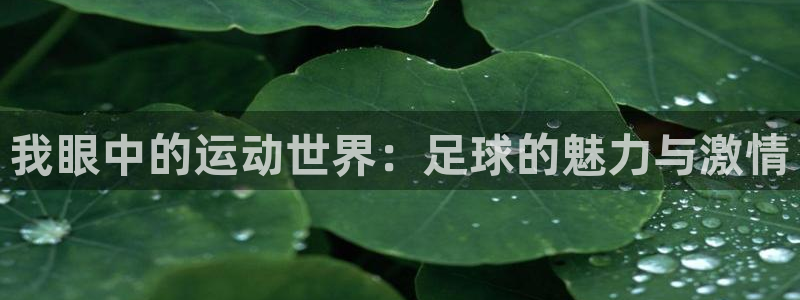 我眼中的运动世界：足球的魅力与激情