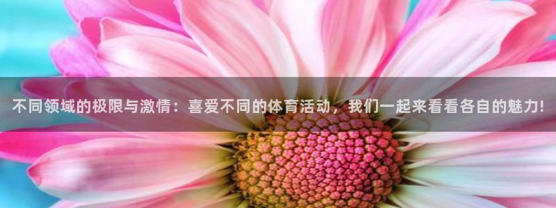 不同领域的极限与激情：喜爱不同的体育活动，我们一起来看看各自的魅力!