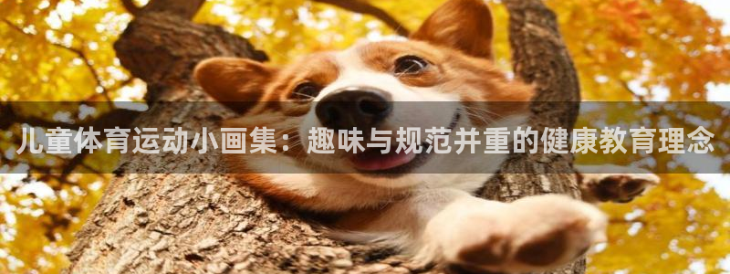 儿童体育运动小画集：趣味与规范并重的健康教育理念