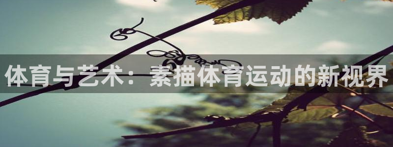 体育与艺术：素描体育运动的新视界