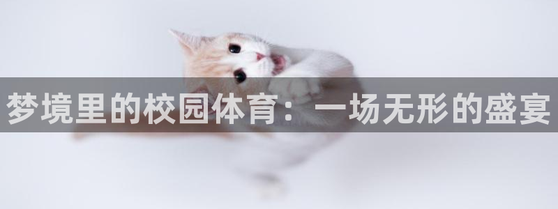 梦境里的校园体育：一场无形的盛宴
