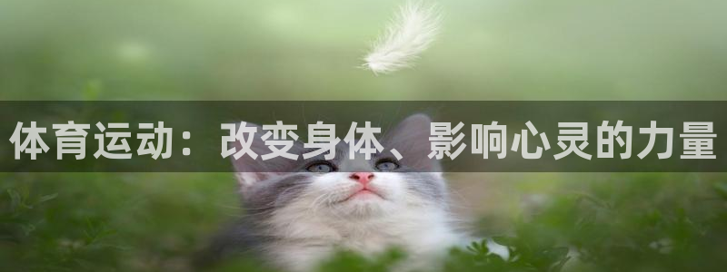 体育运动：改变身体、影响心灵的力量