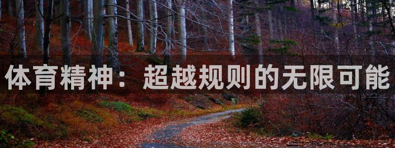 体育精神：超越规则的无限可能