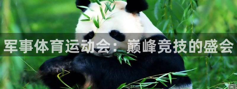 军事体育运动会：巅峰竞技的盛会